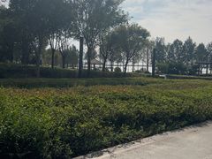 -苏州湾体育公园