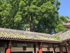 -丰都鬼城名山景区