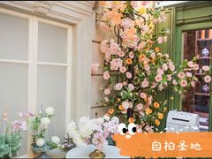 -花之城
