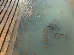 -党河风情线国家水利风景区