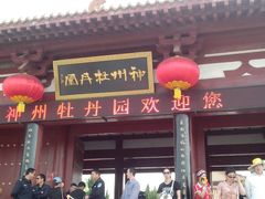 android_upload_pic-神州牡丹园