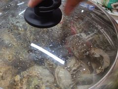 -争先鲜·蒸汽海鲜自助·鲜切牛肉