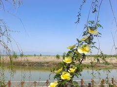 -野鸭湖国家湿地公园