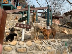 -北京水岸山吧度假村(雁栖镇店)