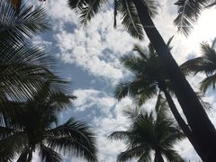 -三亚珠江南田温泉度假区