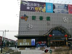 -绚荟城