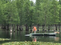 -白鹭湾湿地公园