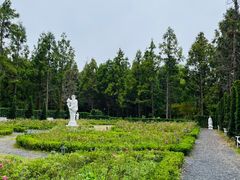 -东平国家森林公园