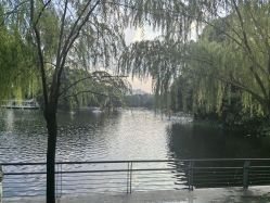 -小鲤鱼寻宝记·AR亲子户外剧本闯关(广州东山湖公园店)