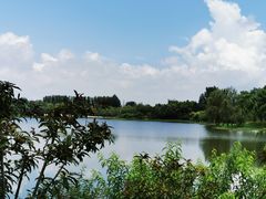 -东郊湿地公园