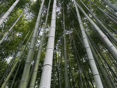 -汇龙潭