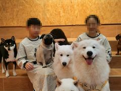 -和它·交个朋友·狗咖猫咖(爱琴海店)