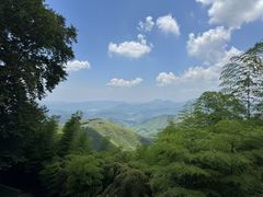 -莫干山风景区