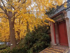 -青岛崂山太清宫