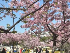 -新江湾城公园