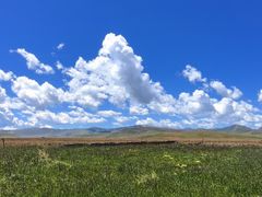 -郭莽湿地