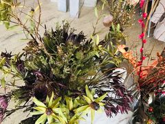 -The Rug Cafe(王府中环店)