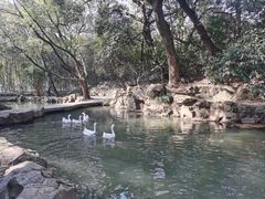 -兰亭风景区