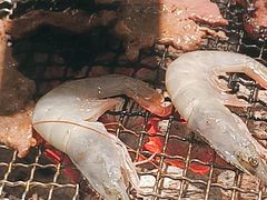 -韩味园果木炭烤鲜肉(陵东街店)