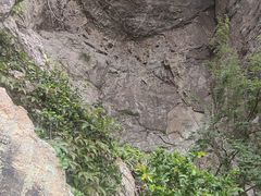 -雁荡山风景名胜区