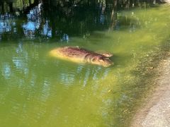 -泉州海丝野生动物世界