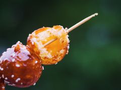 -邓记新一代糖油果子(四川煤管局供销公司职工宿舍店)