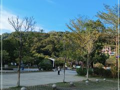 -广州白江湖森林公园