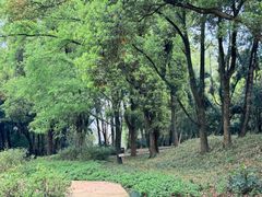 -东湖落雁景区