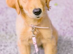 -FUTURE LOUNGE(太古里店)