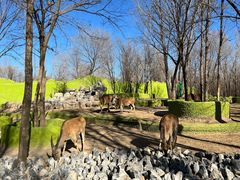 -北京野生动物园
