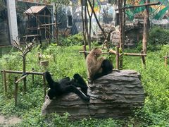 -首都电影院(天津店 中国巨幕)