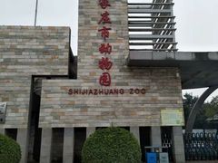 景点-石家庄市动物园