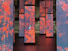 -中国湿地博物馆