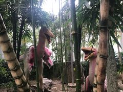 -北京植物园-展览温室