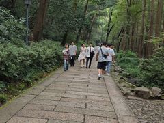 -宋宴(虎跑店)