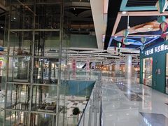-深圳华盛奥特莱斯(华南一道店)