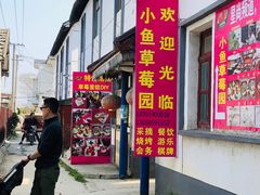 -小鱼草莓采摘园农家乐·小鱼餐厅