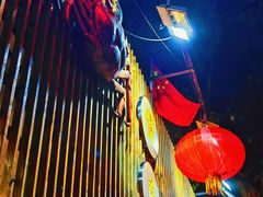 -蟹尊苑(巨鹿店)