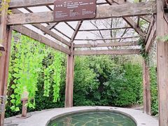 -仁爱团泊湖温泉中心