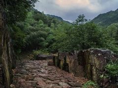 -仙霞关景区