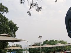 -蘇河湾·新鲁菜·泰山宴(泰山店)