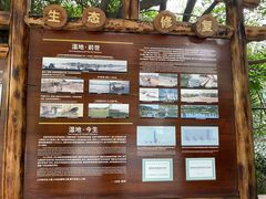 -华侨城湿地公园