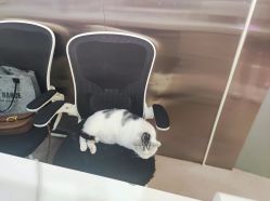 -CICI街舞专业培训