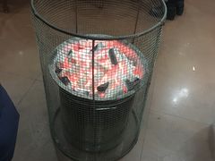 -鑫龙火锅城(经二纬四店)