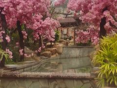 -万象温泉景区