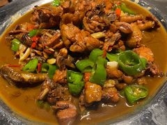 -俭寨大盘鸡·新疆菜·烧烤(博乐店)