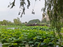 -前关湿地公园