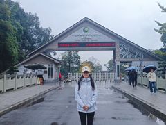 -中国大熊猫保护研究中心雅安碧峰峡基地