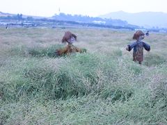 -光明小镇欢乐田园