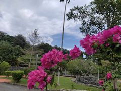 -槟城植物园